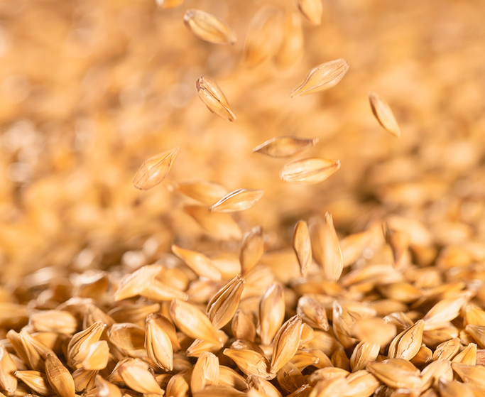 Informations importantes sur vos commandes pendant les fêtes