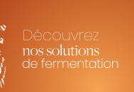 Fermentis, partenaire de référence pour vos fermentations