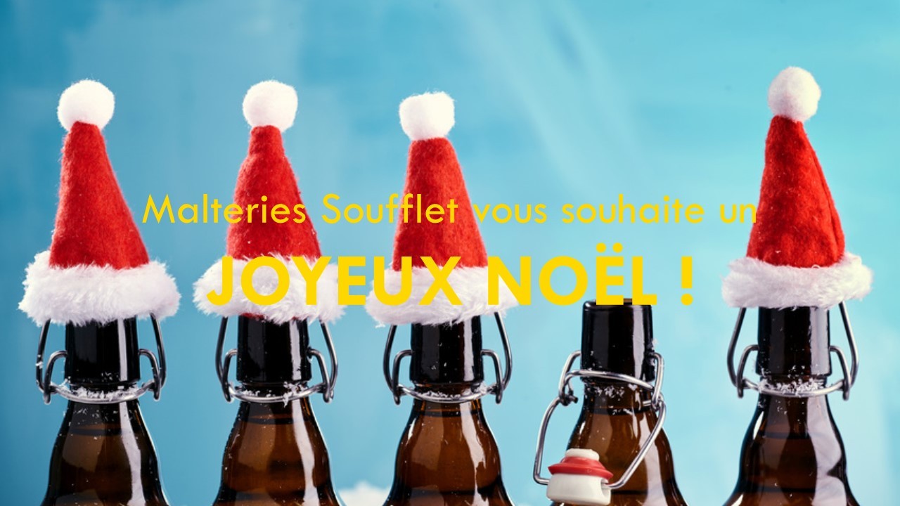 NOTRE PROPOSITION POUR VOTRE BIÈRE DE NOEL 