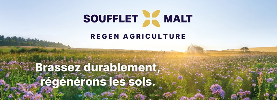 Découvrez nos malts issus de l’agriculture régénératrice  
